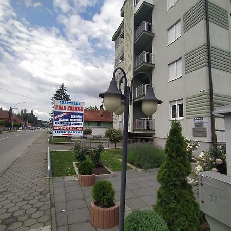Apartmani - Vila Kovilje Banja Koviljača エクステリア 写真