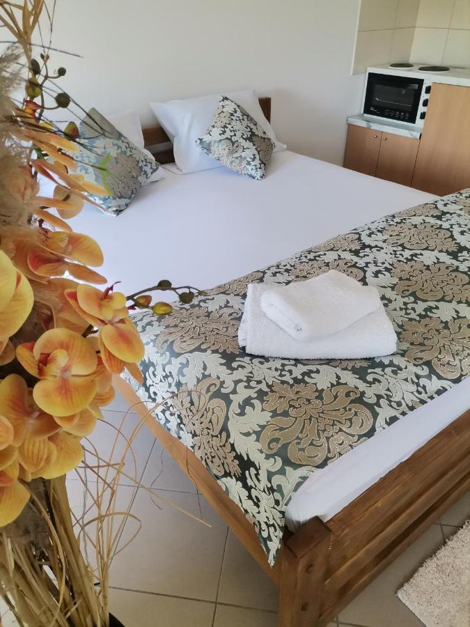Apartmani - Vila Kovilje Banja Koviljača エクステリア 写真