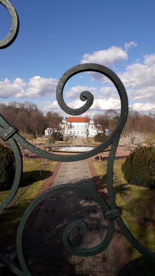 Apartmani - Vila Kovilje Banja Koviljača エクステリア 写真