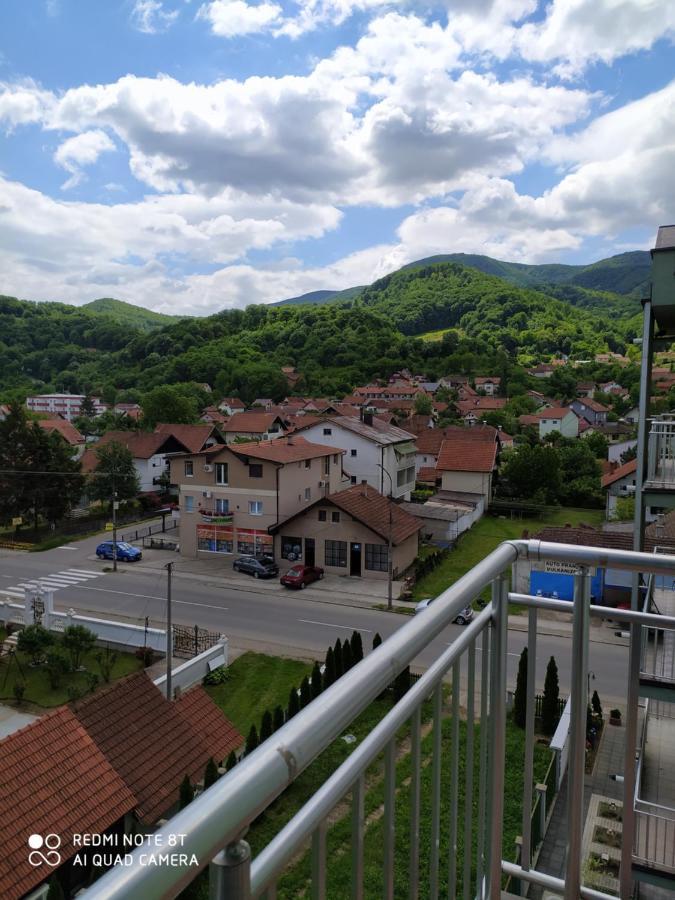 Apartmani - Vila Kovilje Banja Koviljača エクステリア 写真