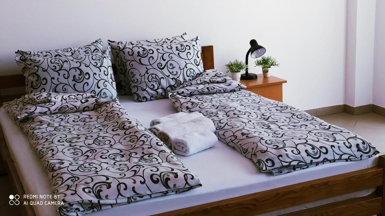 Apartmani - Vila Kovilje Banja Koviljača エクステリア 写真