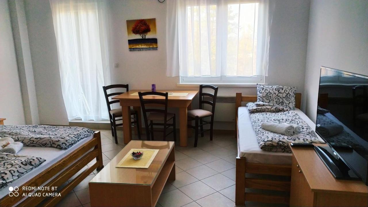 Apartmani - Vila Kovilje Banja Koviljača エクステリア 写真