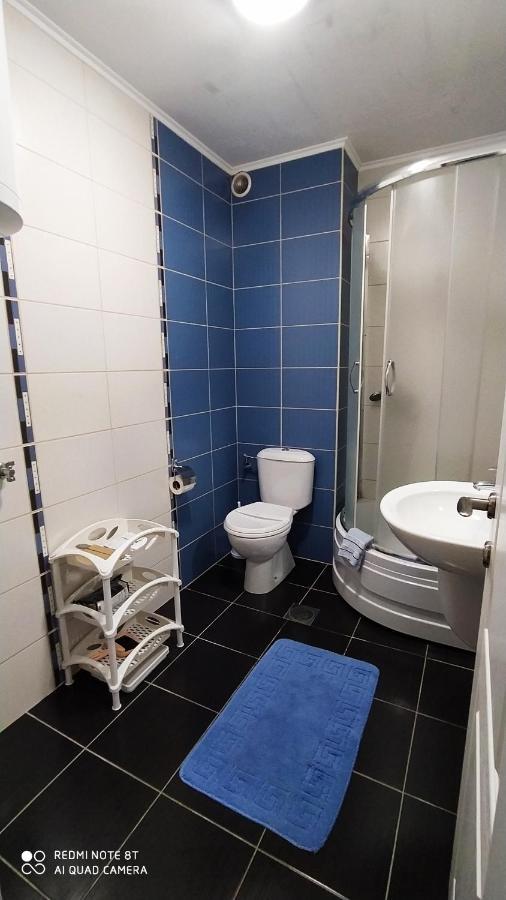 Apartmani - Vila Kovilje Banja Koviljača エクステリア 写真