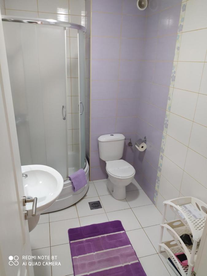 Apartmani - Vila Kovilje Banja Koviljača エクステリア 写真