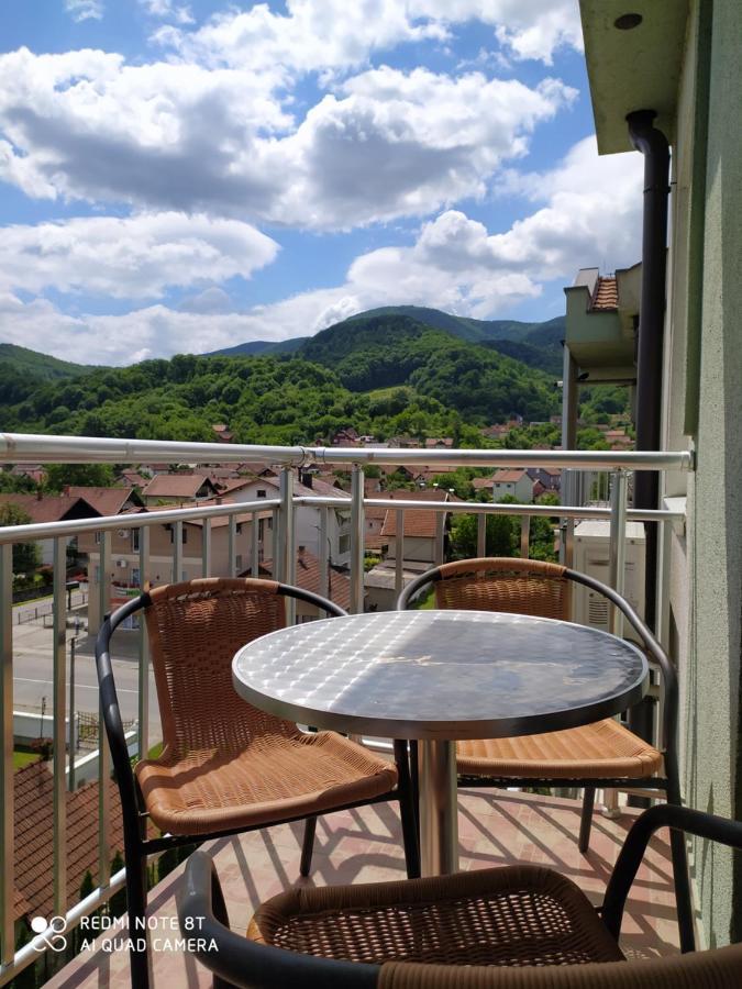Apartmani - Vila Kovilje Banja Koviljača エクステリア 写真