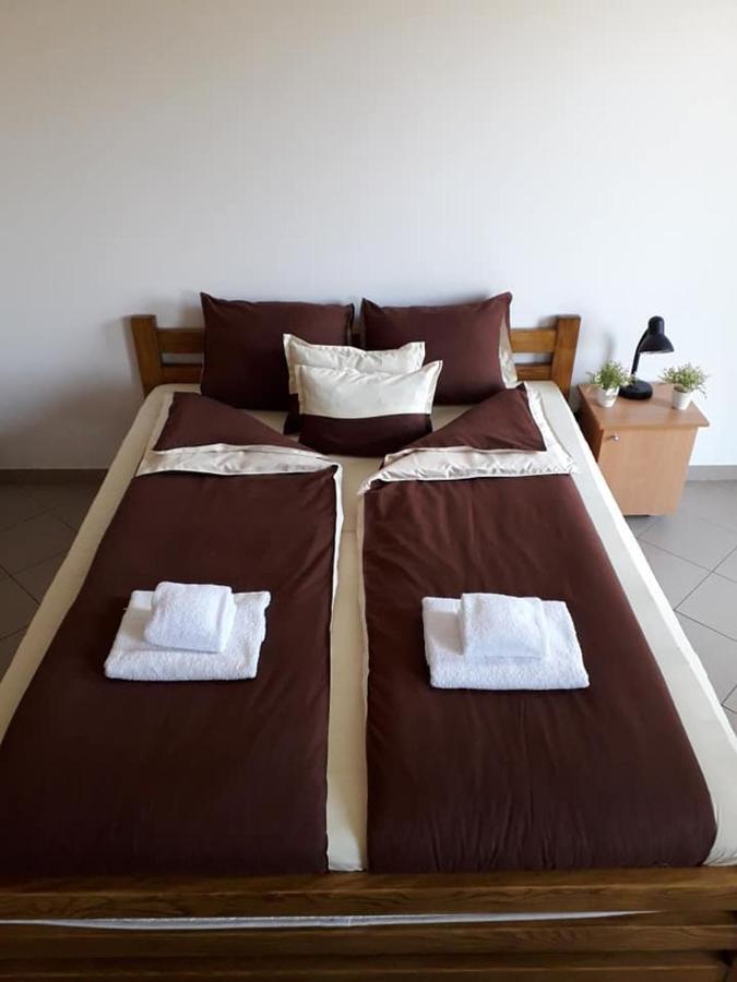 Apartmani - Vila Kovilje Banja Koviljača エクステリア 写真
