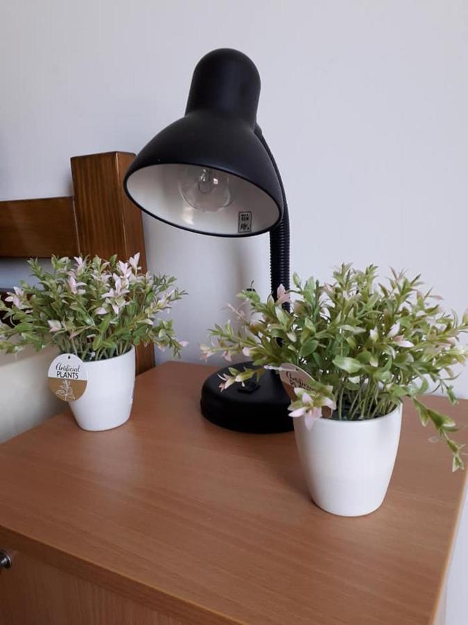 Apartmani - Vila Kovilje Banja Koviljača エクステリア 写真