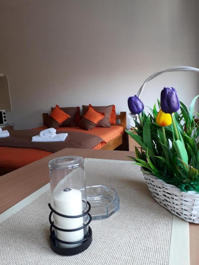 Apartmani - Vila Kovilje Banja Koviljača エクステリア 写真